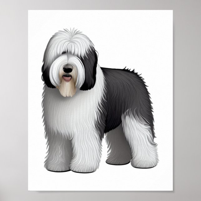 Gamla engelska Sheepdog 10 Poster (Framsidan)