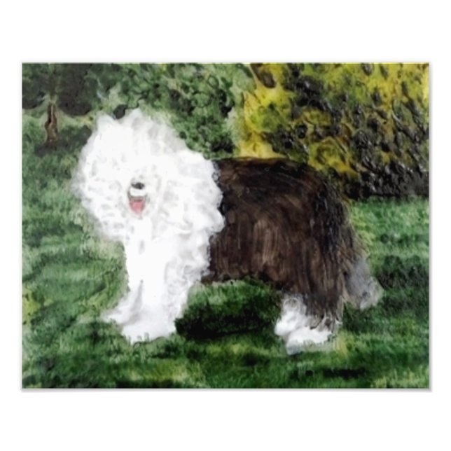Gamla engelska Sheepdog Art Fototryck (Framsidan)
