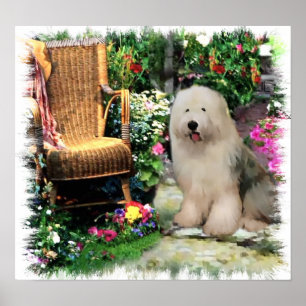 Gamla engelska Sheepdog Art Skriv ut Poster