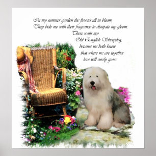 Gamla engelska Sheepdog Art-utskrift Poster