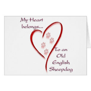 Gamla engelska Sheepdog Heart-Tillhör Hälsningskort