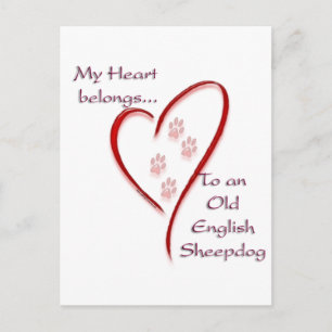 Gamla engelska Sheepdog Heart-Tillhör Vykort