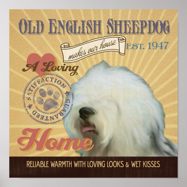 Gamla engelska Sheepdog Hund Art Poster (Framsidan)