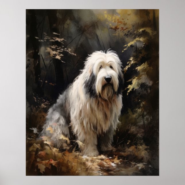 Gamla engelska Sheepdog Hund Art Print Poster (Framsidan)