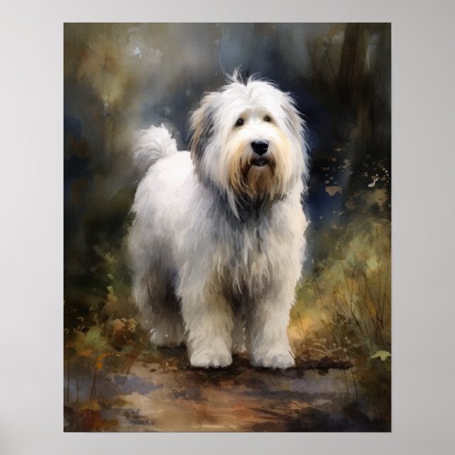 Gamla engelska Sheepdog Hund Art Print Poster (Framsidan)