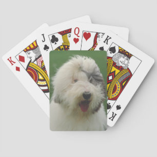 Gamla engelska Sheepdog-Hund Casinokort