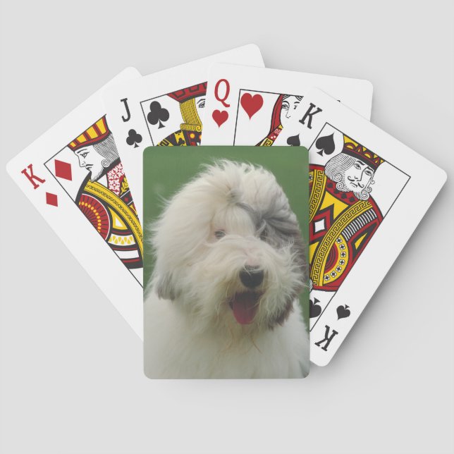 Gamla engelska Sheepdog-Hund Casinokort (Baksidan)