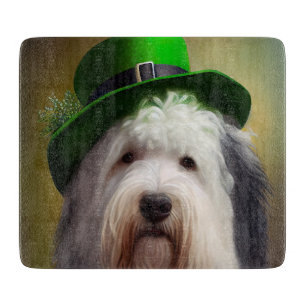 Gamla engelska Sheepdog i St. Patrick Dress