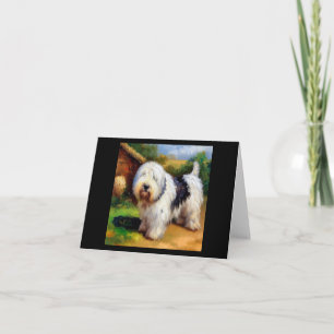 Gamla engelska Sheepdog Kort