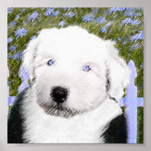 Gamla engelska Sheepdog Puppy Painting - Hund Art Poster