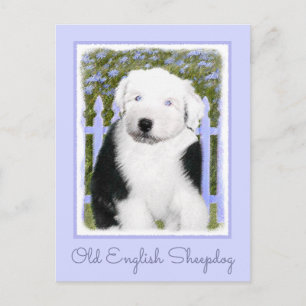 Gamla engelska Sheepdog Puppy Painting - Hund Art Vykort