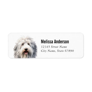 Gamla engelska Sheepdog-Returetiketter Returadress Etikett