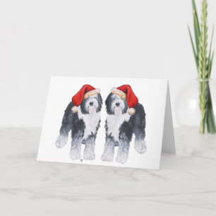 Gamla engelska Sheepdog Santa Hat Helgkort