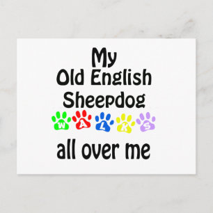 Gamla engelska Sheepdog Walks Design Vykort