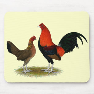 Gamla engelska spelfantams: BB Red Pair Musmatta