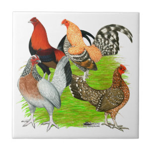 Gamla engelska spelkvartetten kakelplatta