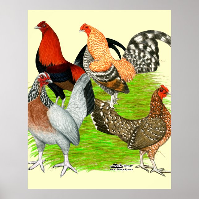 Gamla engelska spelkvartetten poster (Framsidan)