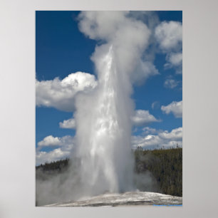 Gamla Faithful Geyser - Utskrift av fintecknade bi Poster