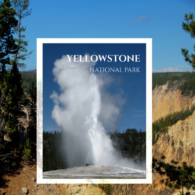 Gamla Faithful Geyser, Yellowstone National Park Vykort (Skapare uppladdad)