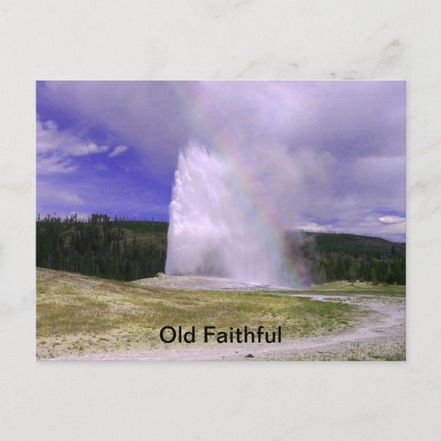 Gamla Faithful in Yellowstone nationalpark Vykort (Framsida)