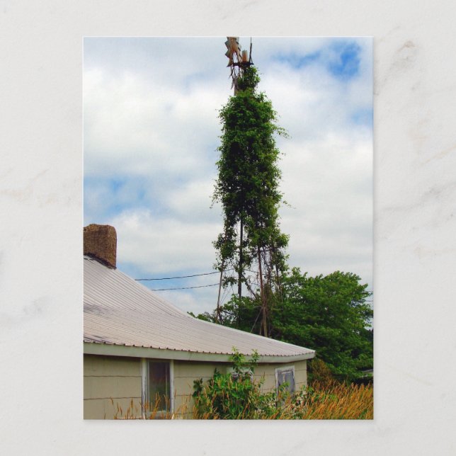 Gamla Farmstead Vykort (Framsida)