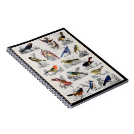 Gamla Fashioned Birds Notebook Anteckningsbok