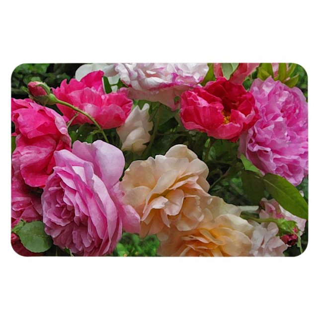 Gamla Fashioned Ro Magnet (Horisontell)