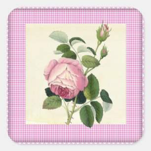 Gamla Fashioned Rosa ros Linen Gingham Decorative Fyrkantigt Klistermärke