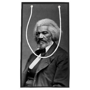 Gamla Fr3d3rick Bailey Douglas African Hero