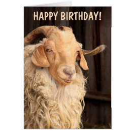 Gamla Goat Funny Birthday Hälsningskort