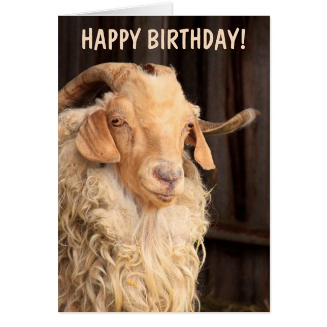 Gamla Goat Funny Birthday Hälsningskort (Framsidan)