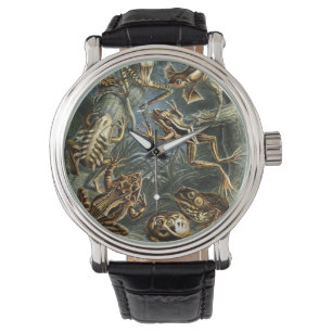 Gamla grodor och paddor Batrachia av Ernst Haeckel Armbandsur