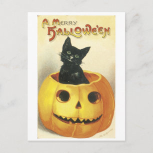 Gamla Halloween-Jack-o'-lantern, svart katt Vykort