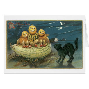 Gamla Halloween, Pumpkins & Black cat Hälsningskort