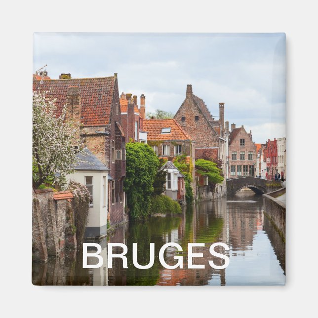 Gamla hus i Brygge, Belgien Magnet (Framsidan)