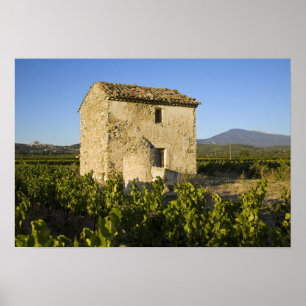 Gamla huset i Comtat Venaissin, Vaucluse. Poster