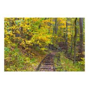 Gamla järnvägsspår, Blue Ridge Parkway, Virginia Fototryck