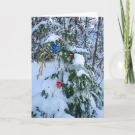 Gamla Julgran Helgkort