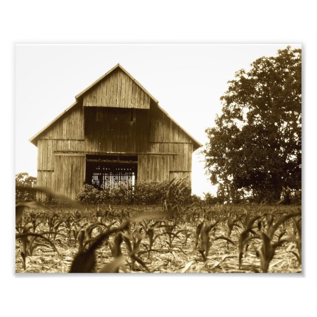 Gamla Kentucky Tobacco Barn Fototryck (Framsidan)