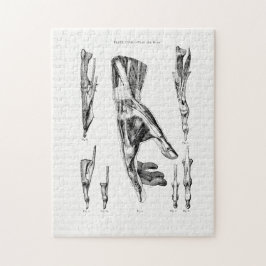 Gamla konstmuskler i andning och konstverk pussel