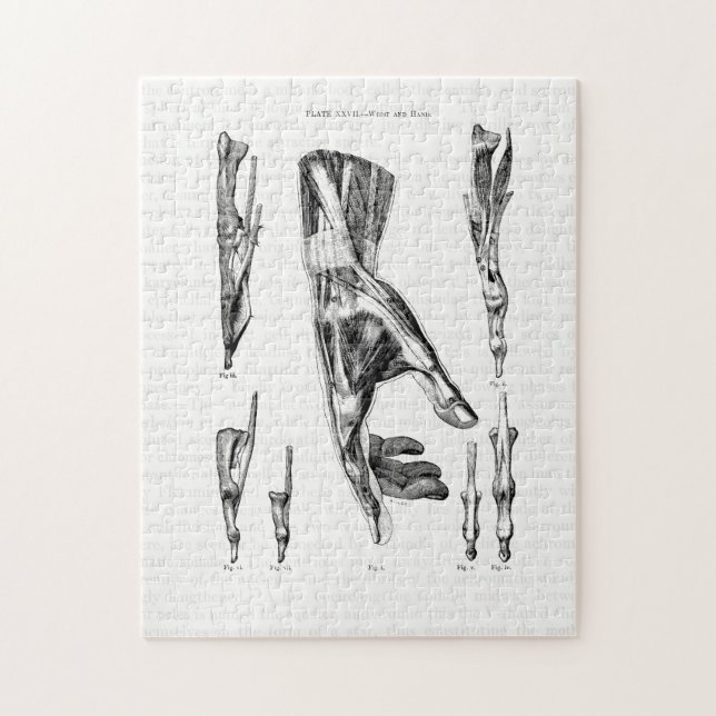 Gamla konstmuskler i andning och konstverk pussel (Vertikal)