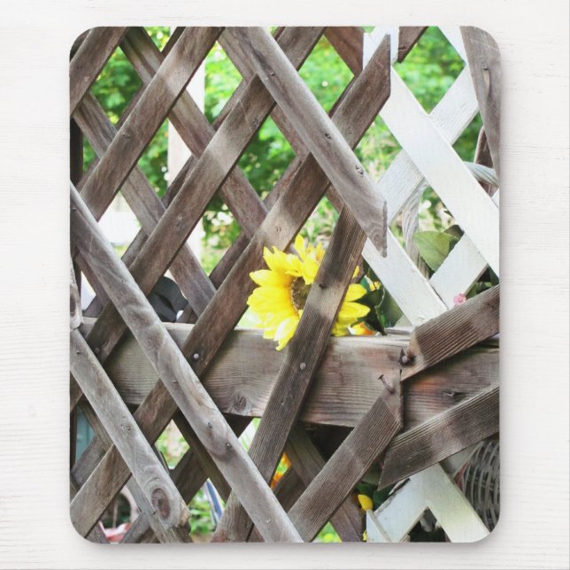 Gamla lattice och blomma av djoneill musmatta (Framsidan)