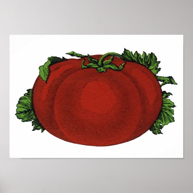 Gamla Livsmedel, Mognad Tomat, Grönsaker och Frukt Poster (Framsidan)