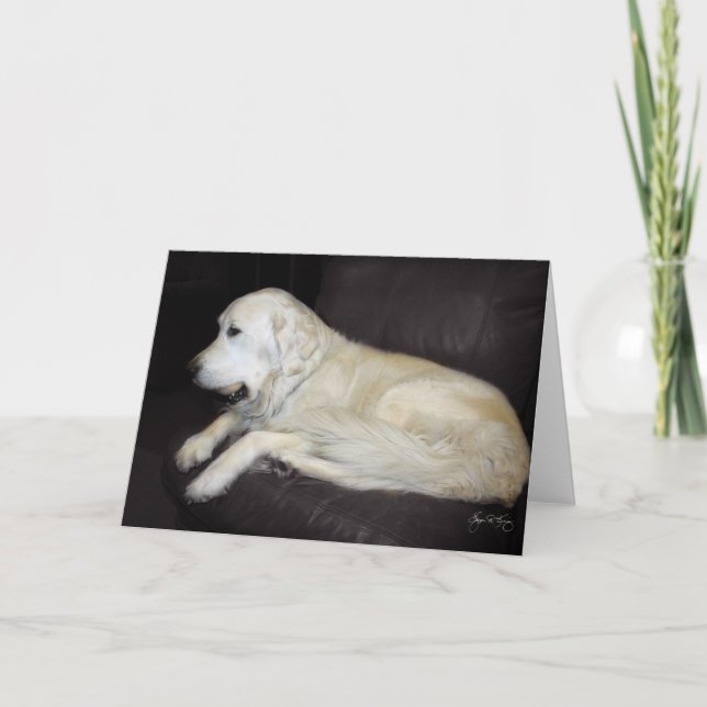 Gamla mannen med Boll Kort (Framsida)