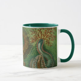 Gamla maskar Annelider Chaetopoda av Ernst Haeckel Mugg
