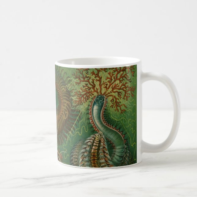 Gamla maskar Annelider Chaetopoda av Ernst Haeckel Mugg (Höger)