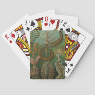 Gamla maskar Annelider Chaetopoda av Ernst Haeckel Spel Kort