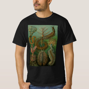 Gamla maskar Annelider Chaetopoda av Ernst Haeckel Tee Shirt
