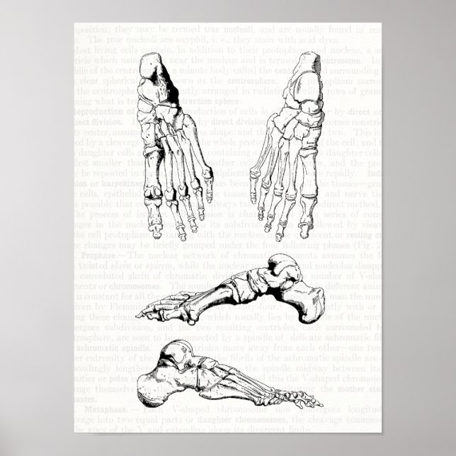 Gamla medicinska konsthantben för foten poster (Framsidan)