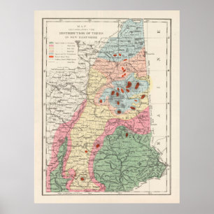 Gamla New Hampshire Träd Species Karta (1877) Poster
